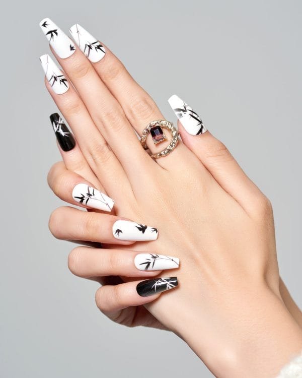 Black Bamboo - Image 5