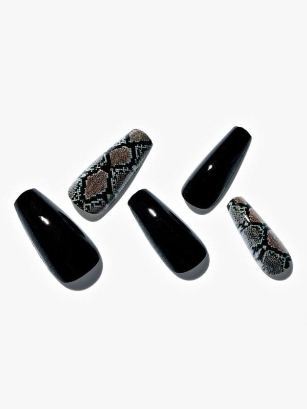 Black&Snakeskin