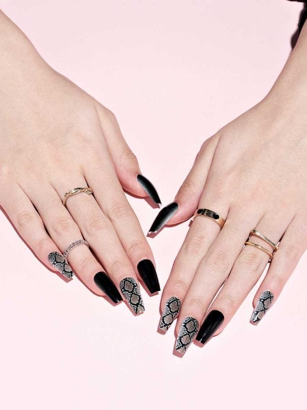 Black&Snakeskin - Image 3