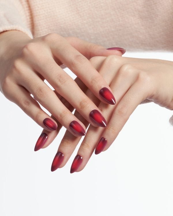 Festive - Image 3