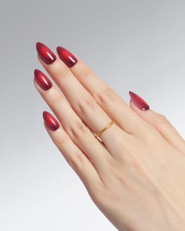 Festive - Image 6