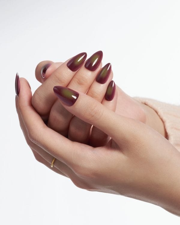 Festive/Brown - Image 2