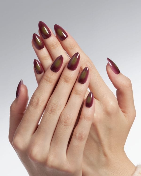 Festive/Brown - Image 3