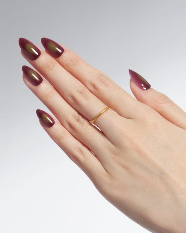Festive/Brown - Image 6